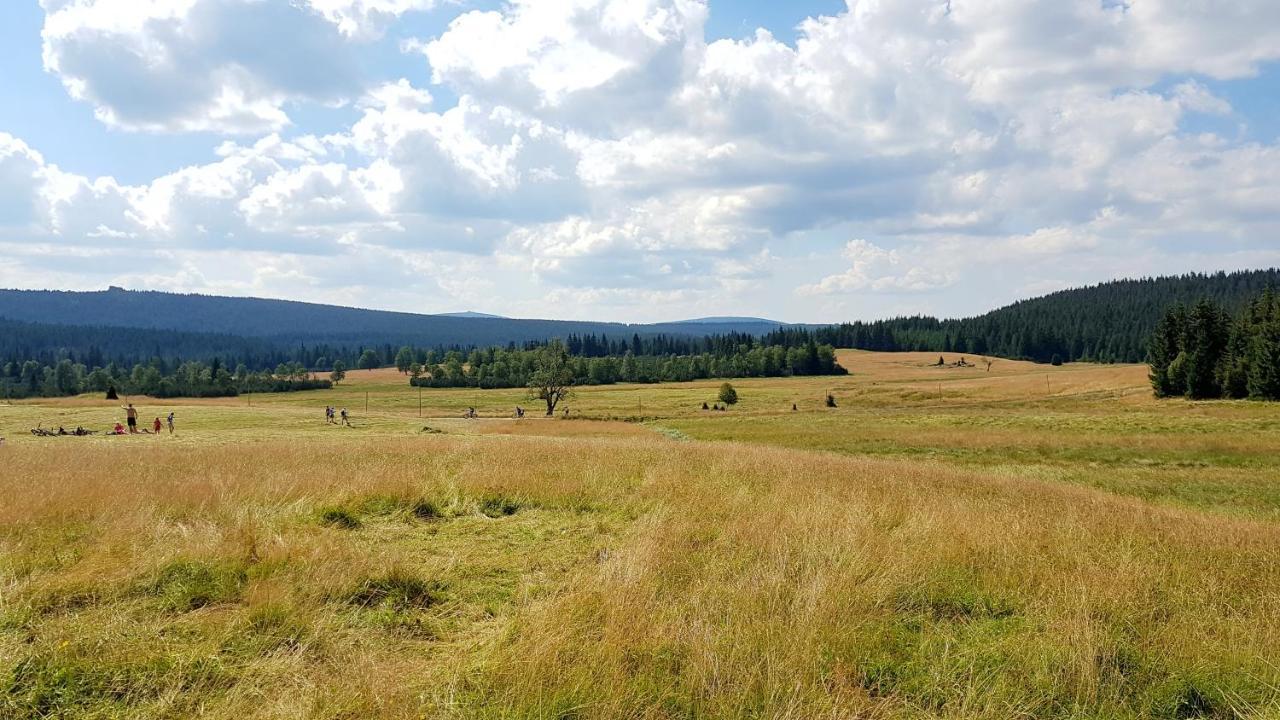 Agroturystyka Dowoli Свєрадув-Здруй Екстер'єр фото